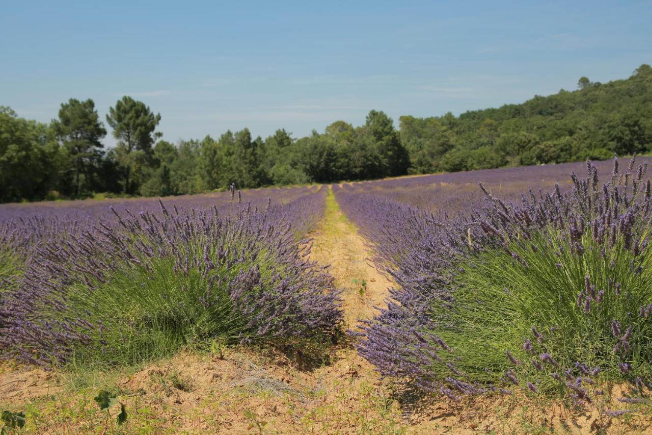 Les Yourtes De Provence Saint-Paulet-de-Caisson Ngoại thất bức ảnh
